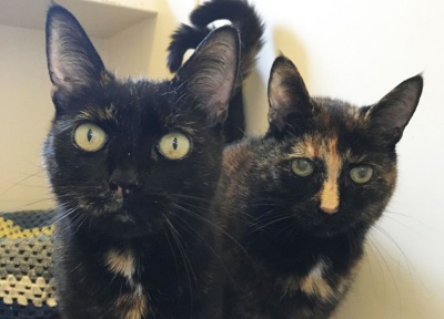 Hattie & Ester